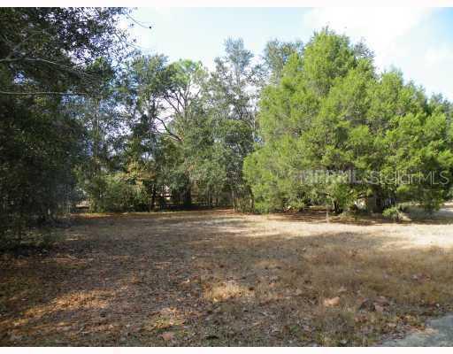 16501 Bearle Rd., Orlando, FL 32828