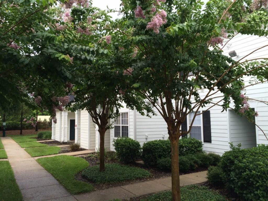 142 Southern Pecan Cir. #107, Winter Garden, FL 34787