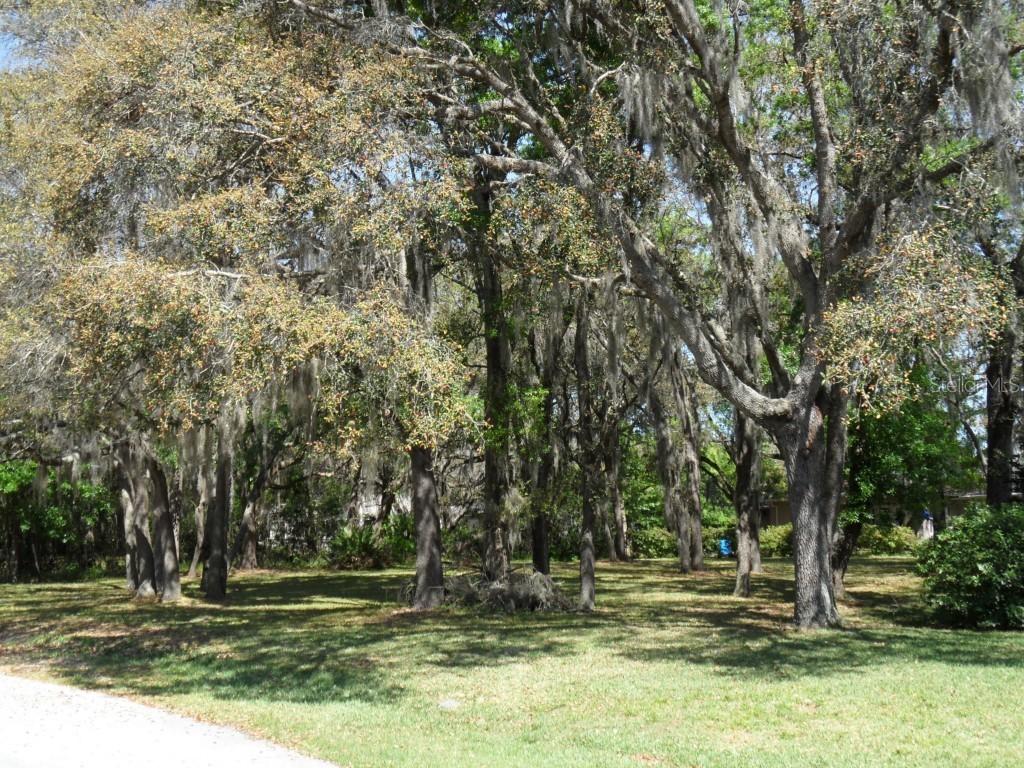 S Terrace Blvd., Longwood, FL 32779