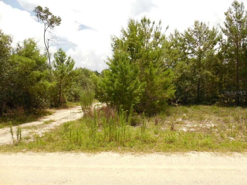 2089 Lake View Ave., Chuluota, FL 32766