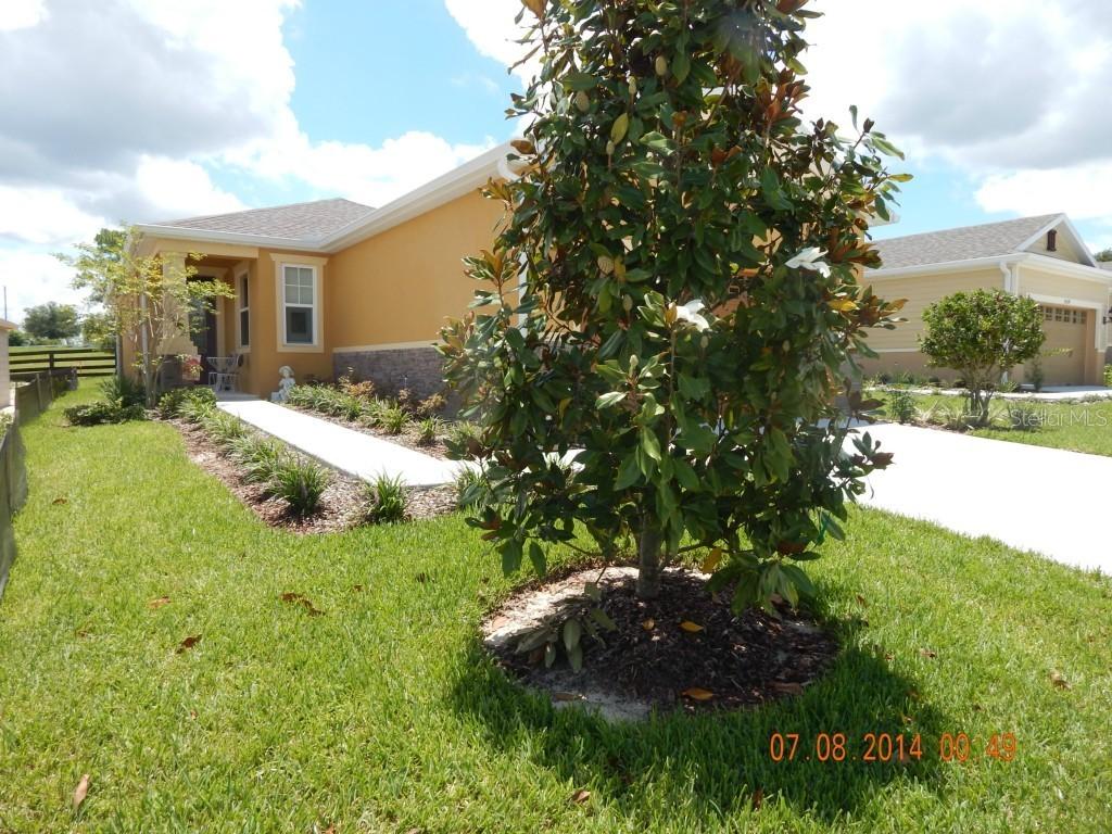 30328 Lipizzan Ter., Mount Dora, FL 32757