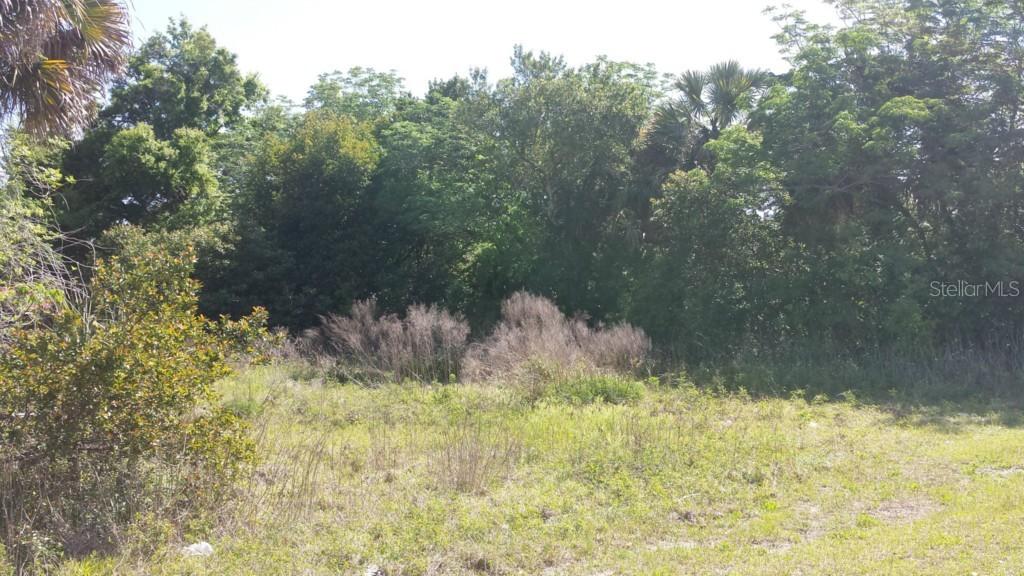 326 Faye St., Apopka, FL 32712