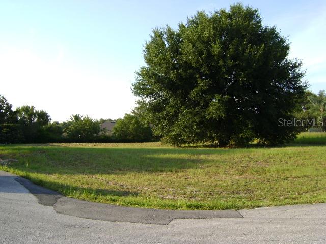 Calle De Ora Ct, Clermont, FL 34711