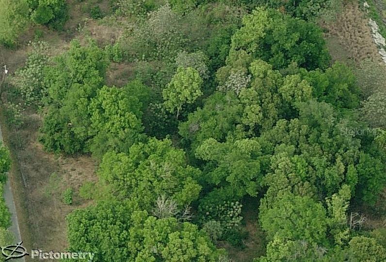 815 Pine St., Ocoee, FL 34761