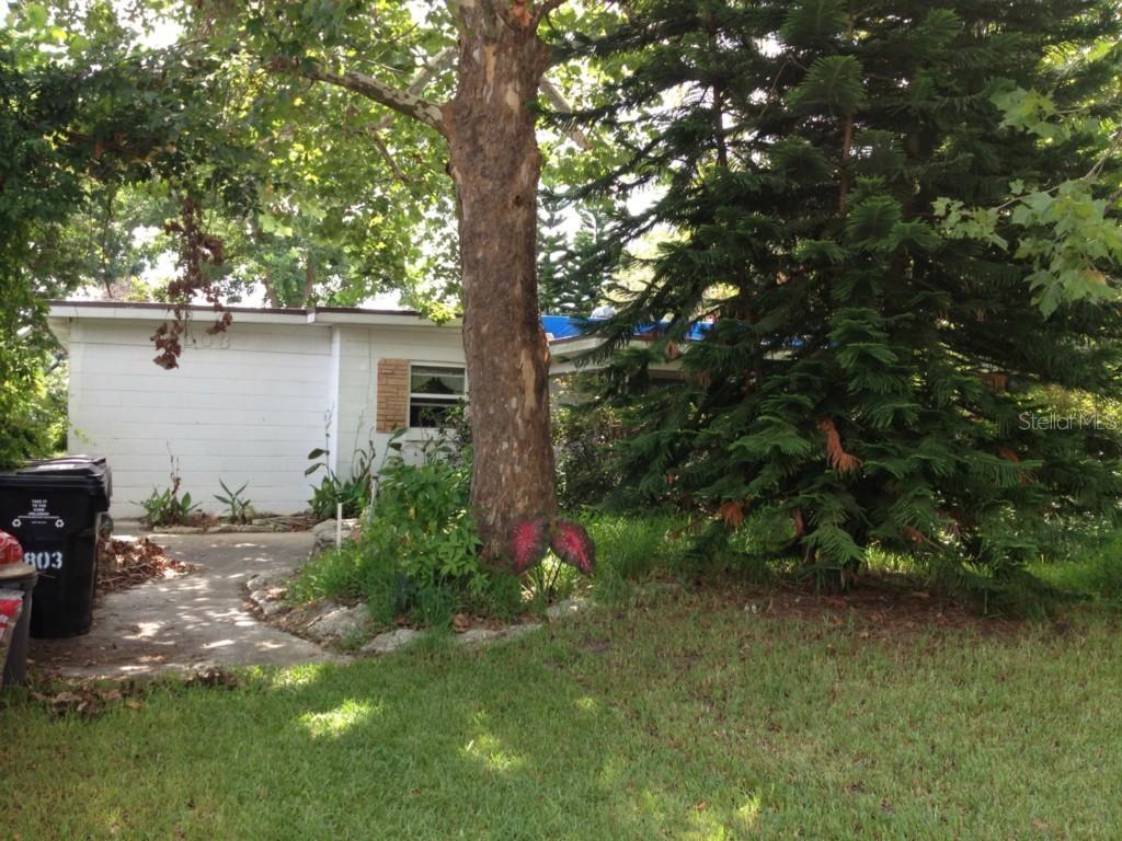 803 Thalia Dr., Orlando, FL 32807