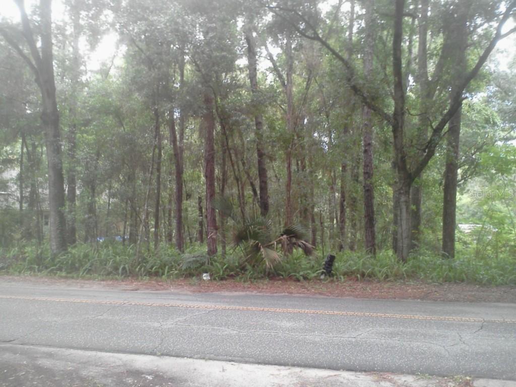 Lochmore Cir., Sorrento, FL 32776