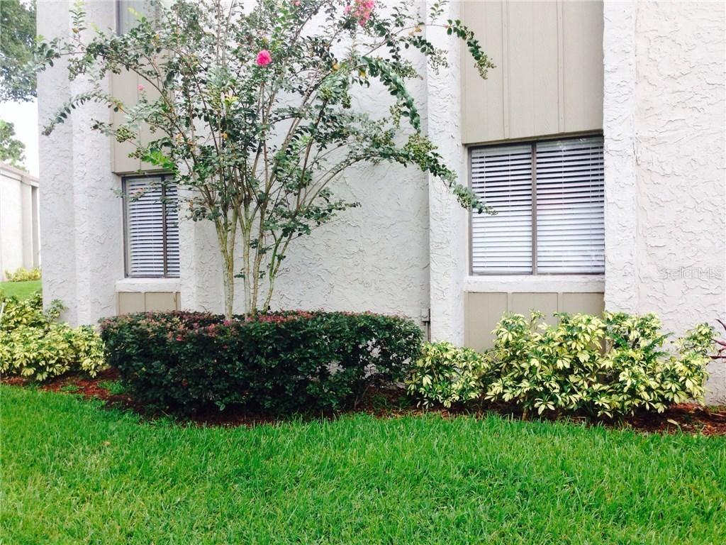 153 Springwood Cir. #A, Longwood, FL 32750