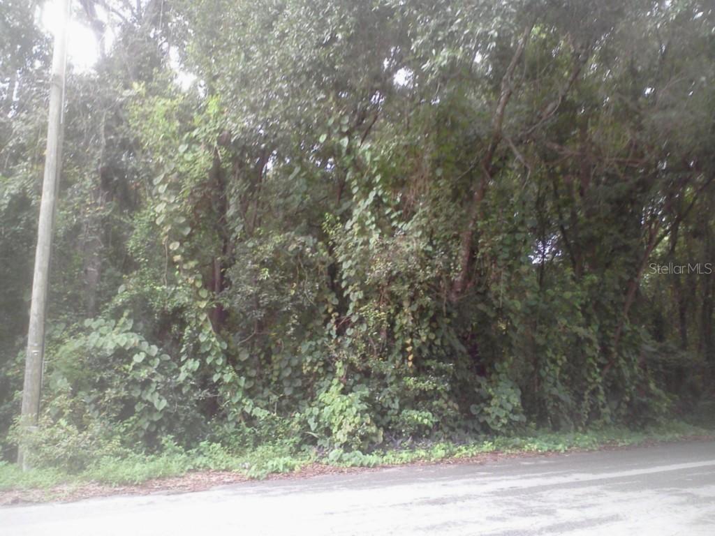 Colmar Ave., Sorrento, FL 32776