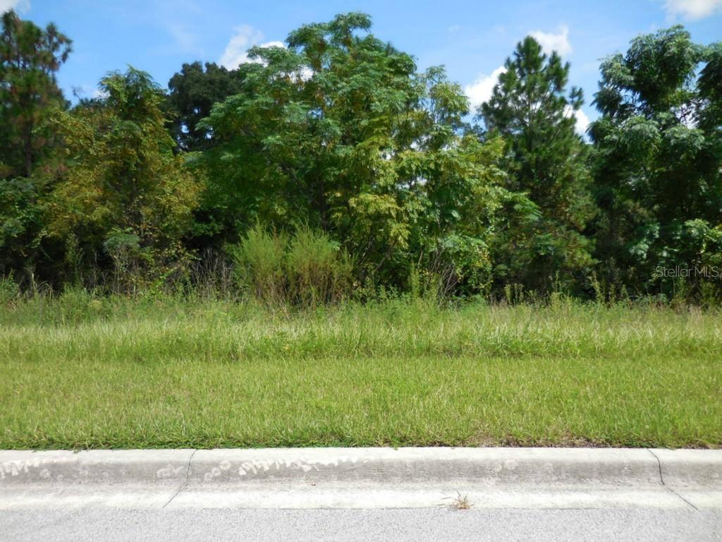 7082 Norne Ln., Mount Dora, FL 32757