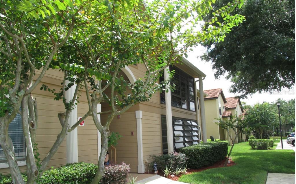 6031 Scotchwood Glen #205, Orlando, FL 32822