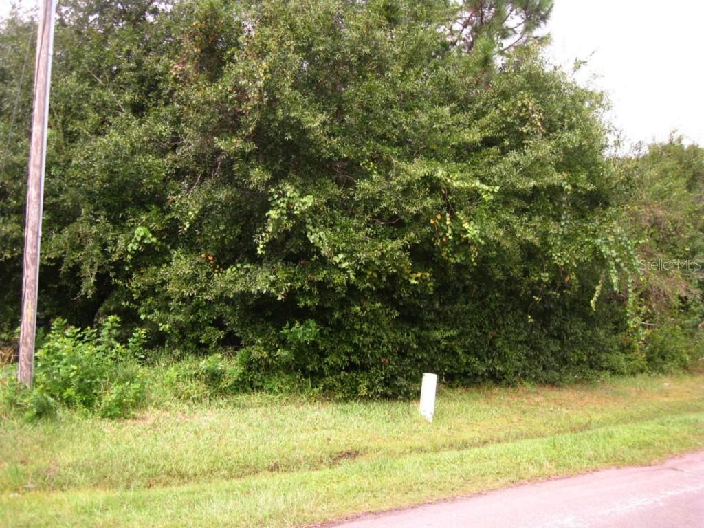 Camel Ct., Poinciana, FL 34759