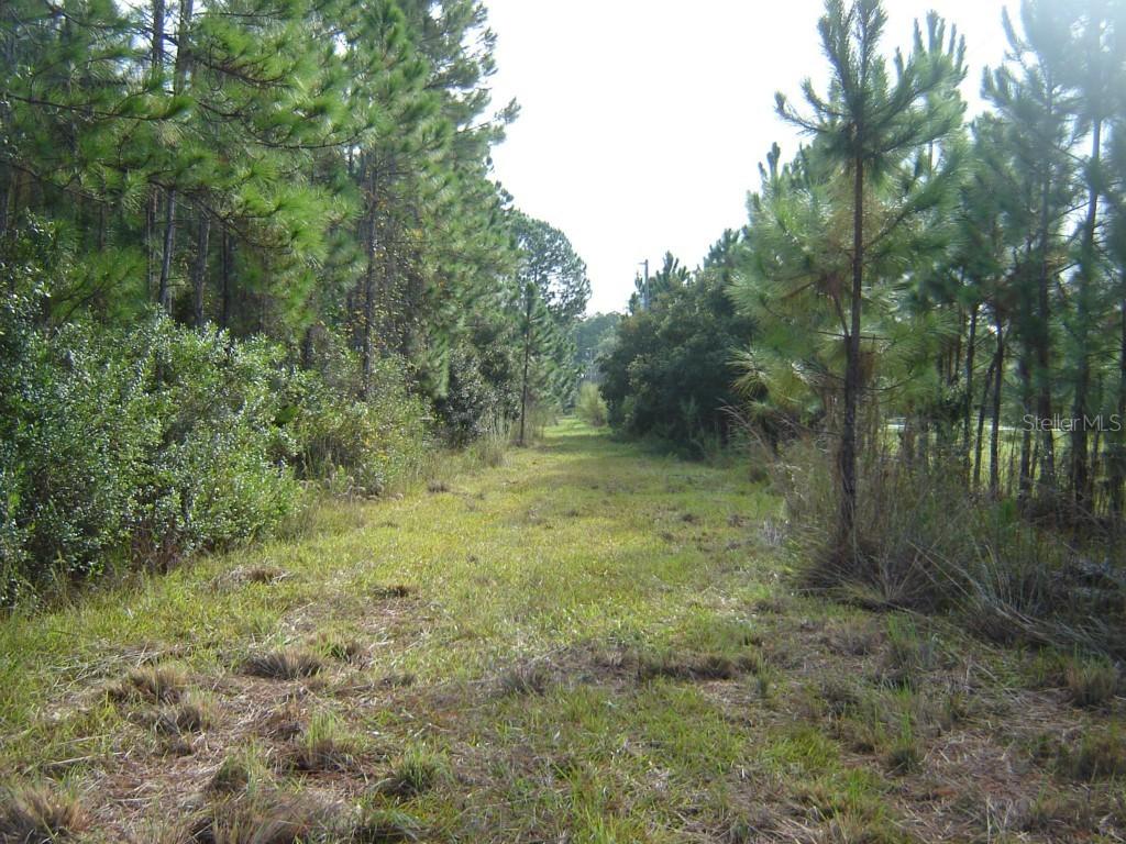 3200 E Osceola Rd., Geneva, FL 32732