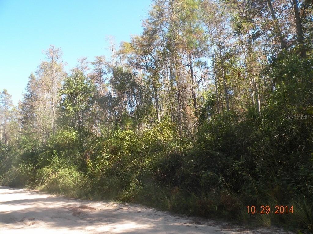 Kijik Tr., Groveland, FL 34736