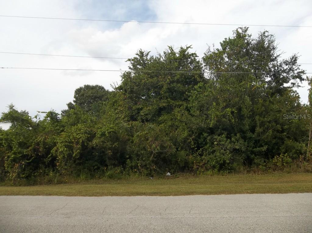Silver Pine St., Kissimmee, FL 34746