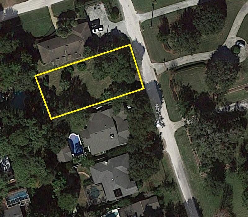 Magnolia St., Windermere, FL 34786