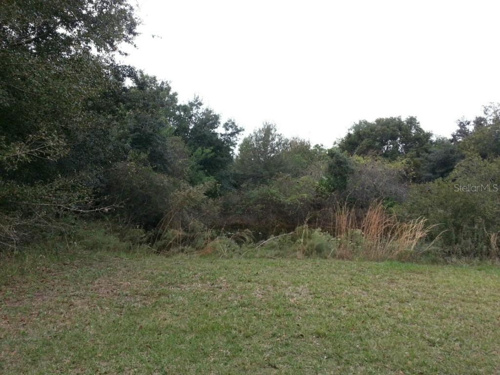 Orange Ave., Saint Cloud, FL 34769