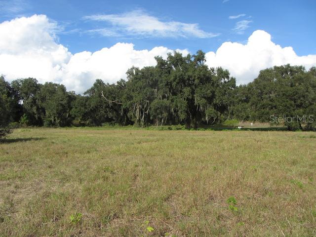LOT 51 Silent Ridge Dr., Tavares, FL 32778
