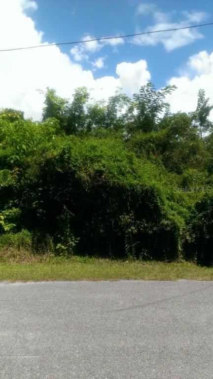 Greenleaf Dr., Orlando, FL 32810