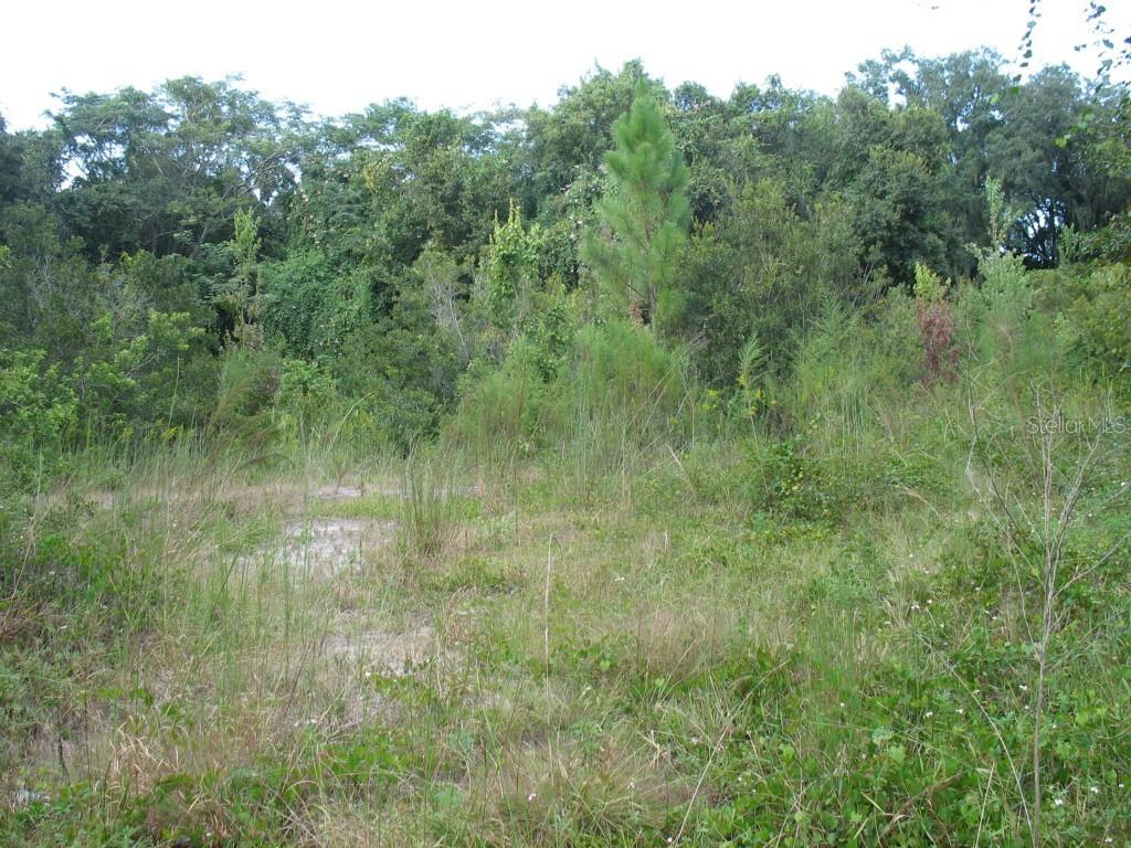 Unknown St., Kissimmee, FL 34744