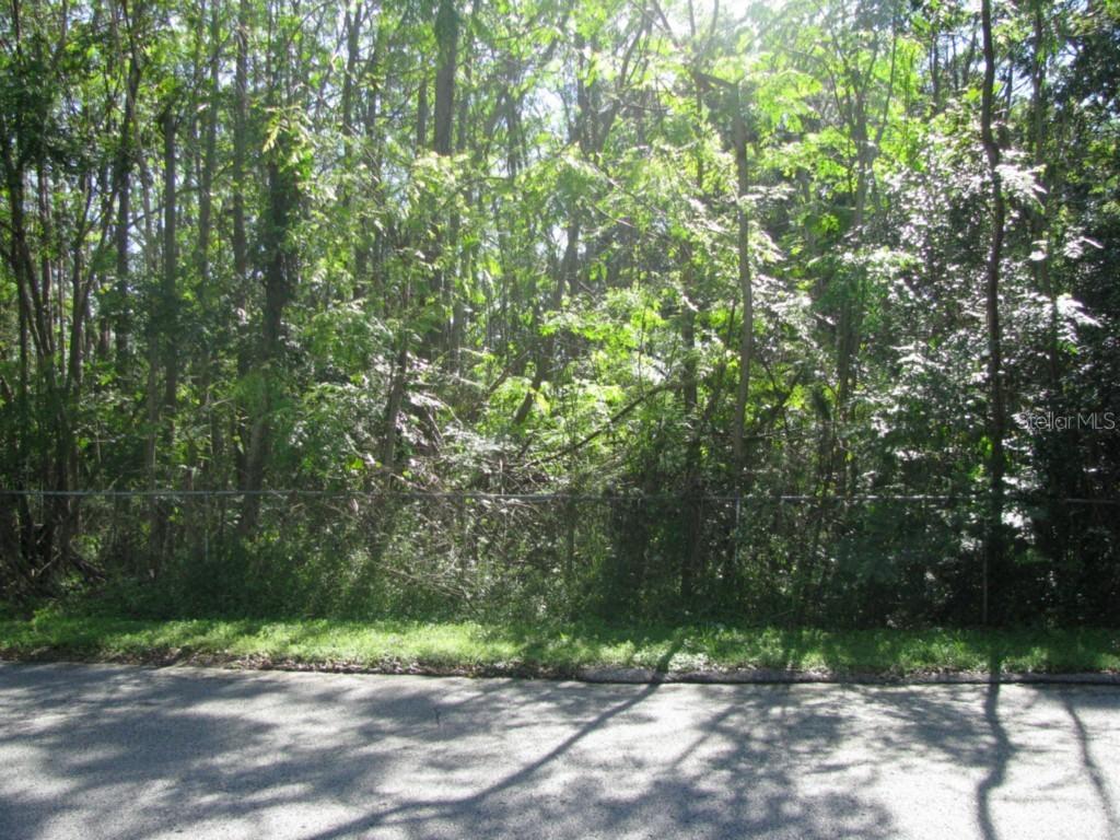 Center St., Ocoee, FL 34761