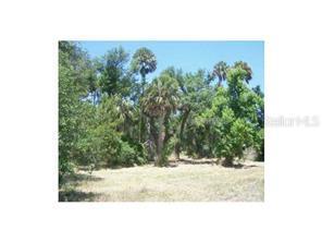 2110 Black Hammock Rd., Oviedo, FL 32765