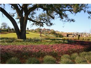 Bella Collina Lot  306, Montverde, FL 34756