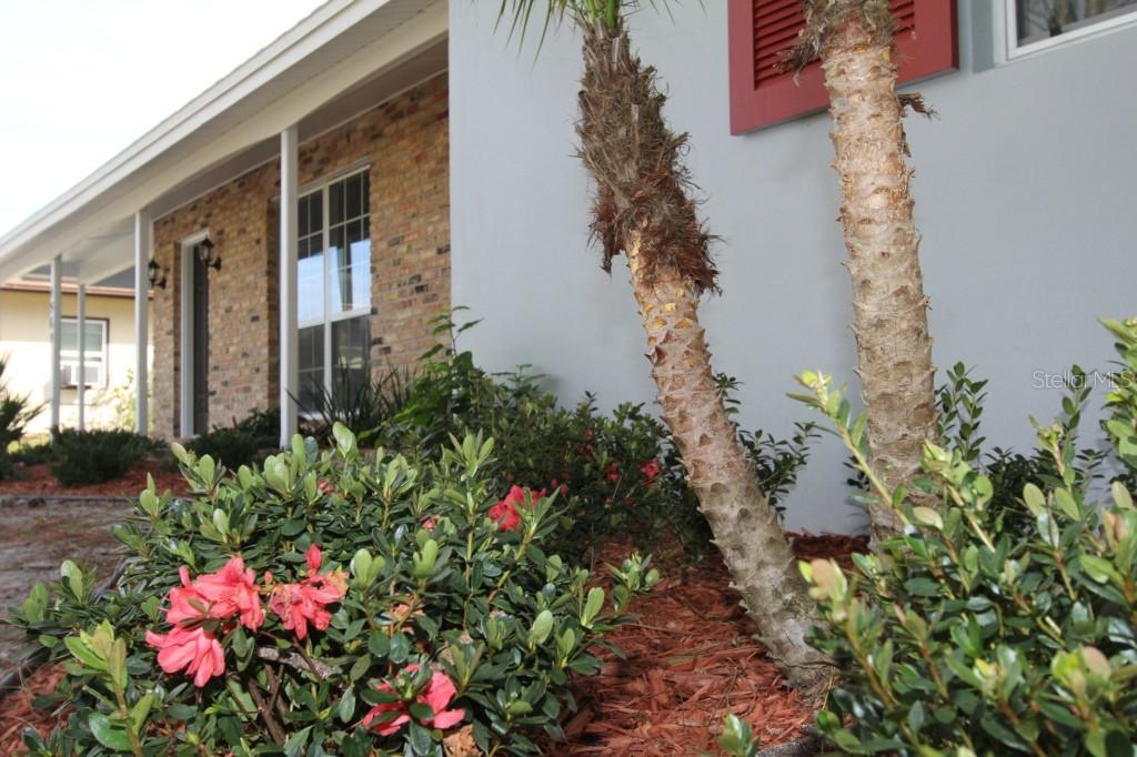 1569 Findlay St., Deltona, FL 32725