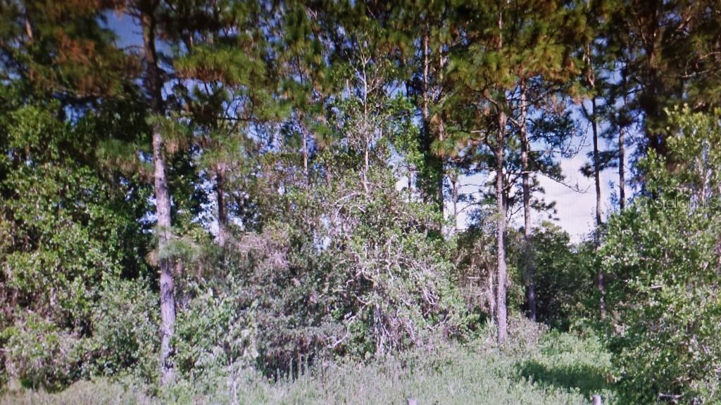 6606 Beth Rd., Orlando, FL 32824