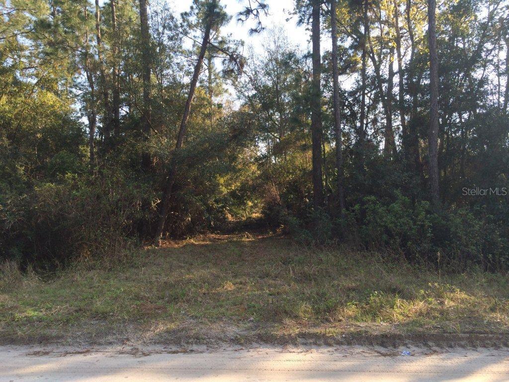 946 Settlers Loop, Geneva, FL 32732