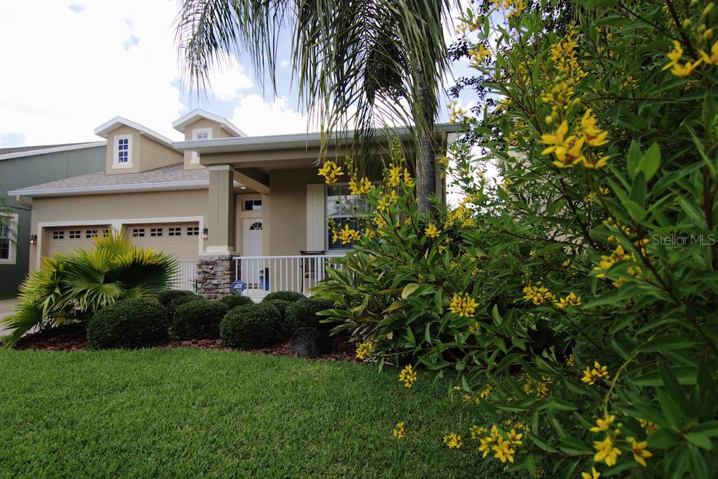 9816 Old Patina Way, Orlando, FL 32832