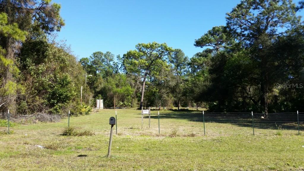 30842 Nocatee Tr., Sorrento, FL 32776