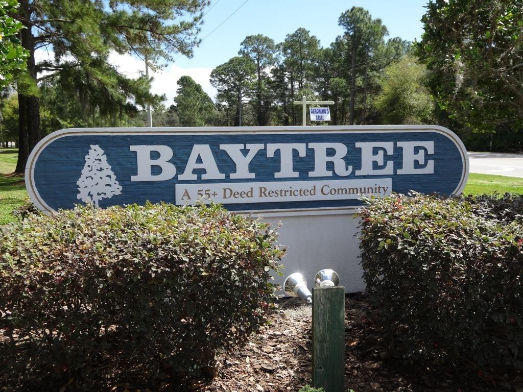 502 Juniper Way, Tavares, FL 32778