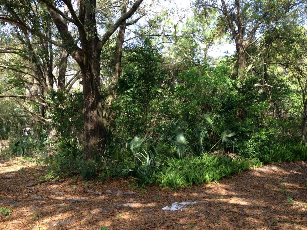 W 7th St., Chuluota, FL 32766