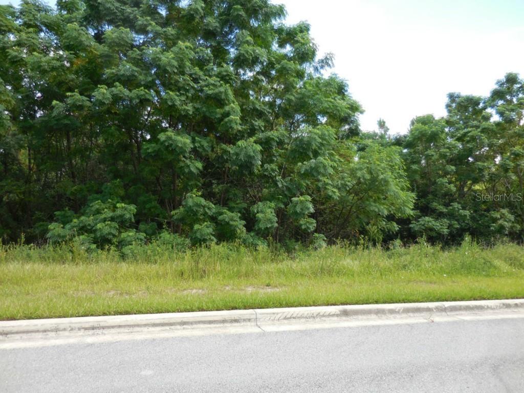 7070 Norne Ln., Mount Dora, FL 32757