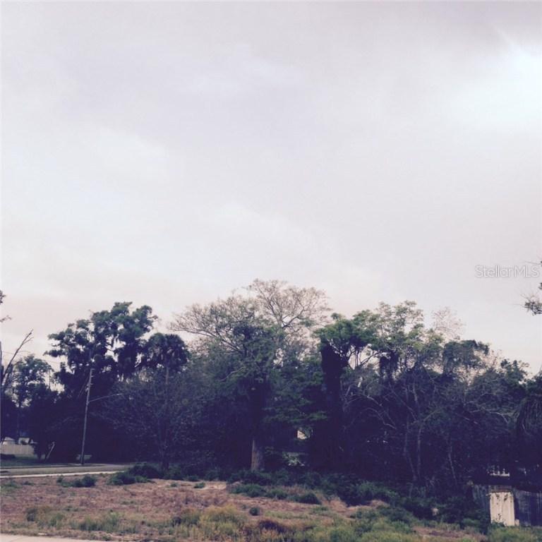 129 Mills St., Groveland, FL 34736