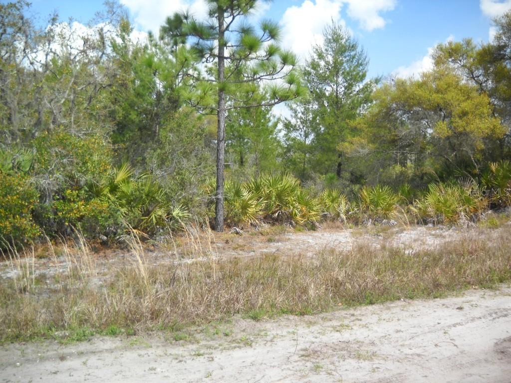 Cypress Creek Ranch Rd., Saint Cloud, FL 34771