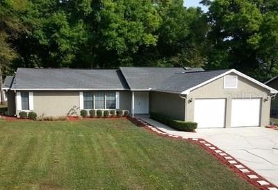 26307 Biltmore St., Sorrento, FL 32776
