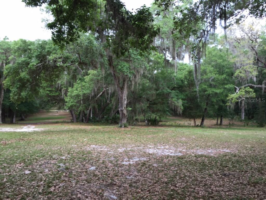Brumley Rd., Chuluota, FL 32766