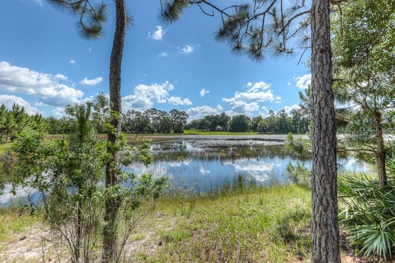 351 Woodridge Dr., Geneva, FL 32732