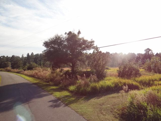 Bay Head Rd., Osteen, FL 32764