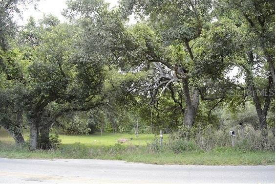 21815 Wolf Branch Rd., Mount Dora, FL 32757