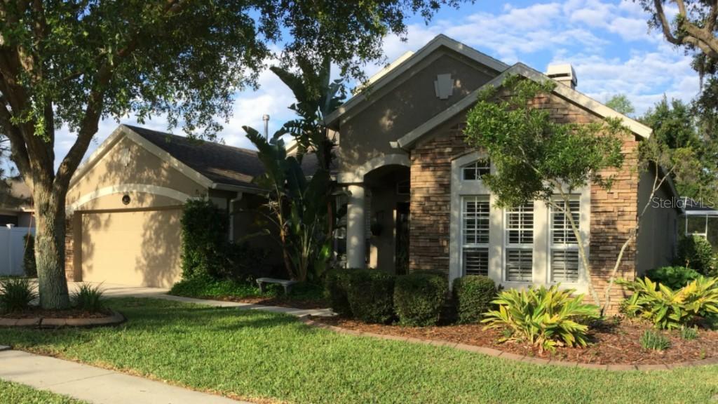 1527 Tawnyberry Ct., Trinity, FL 34655