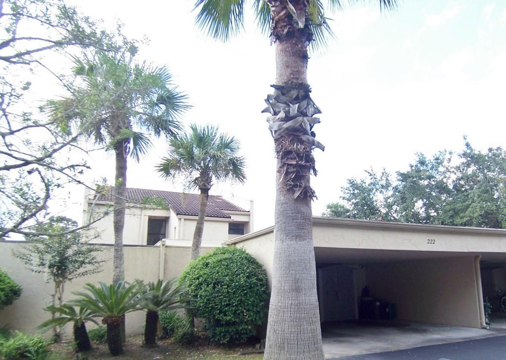 222 Sonora Dr., Casselberry, FL 32707