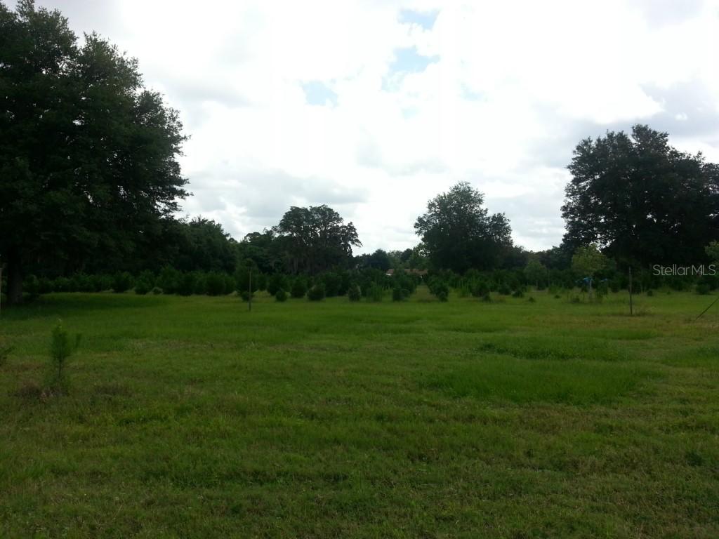 Chapman Reserve Ct., Oviedo, FL 32765