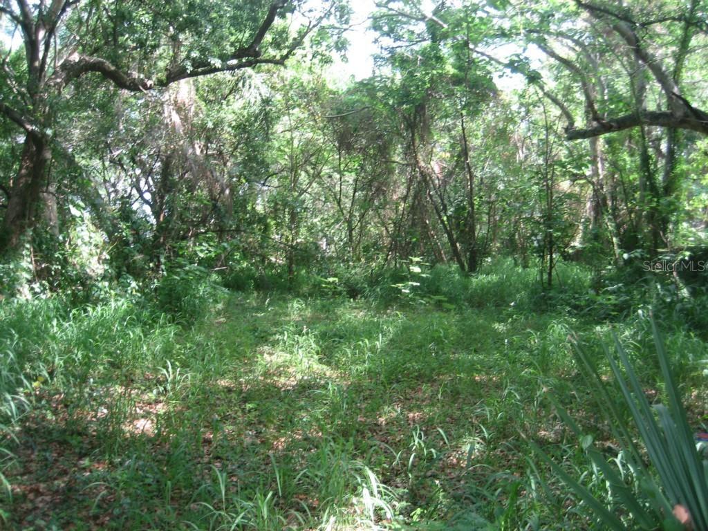 1425 30th St., Orlando, FL 32805