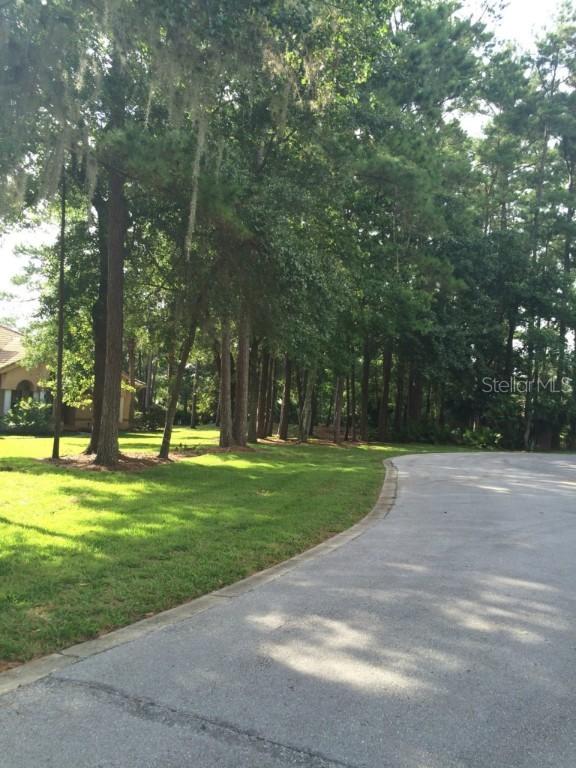 Jacana Ct., Longwood, FL 32779