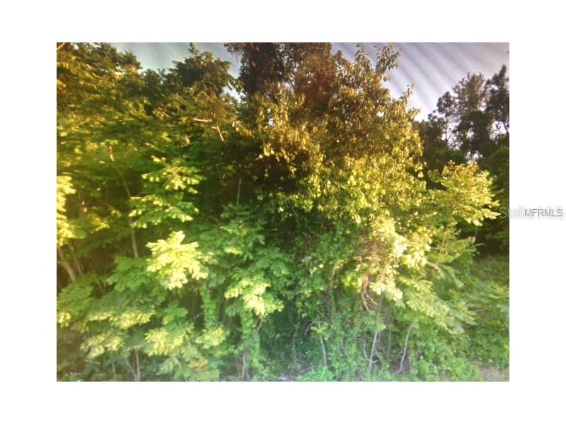 16362 Sandhill Rd., Winter Garden, FL 34787