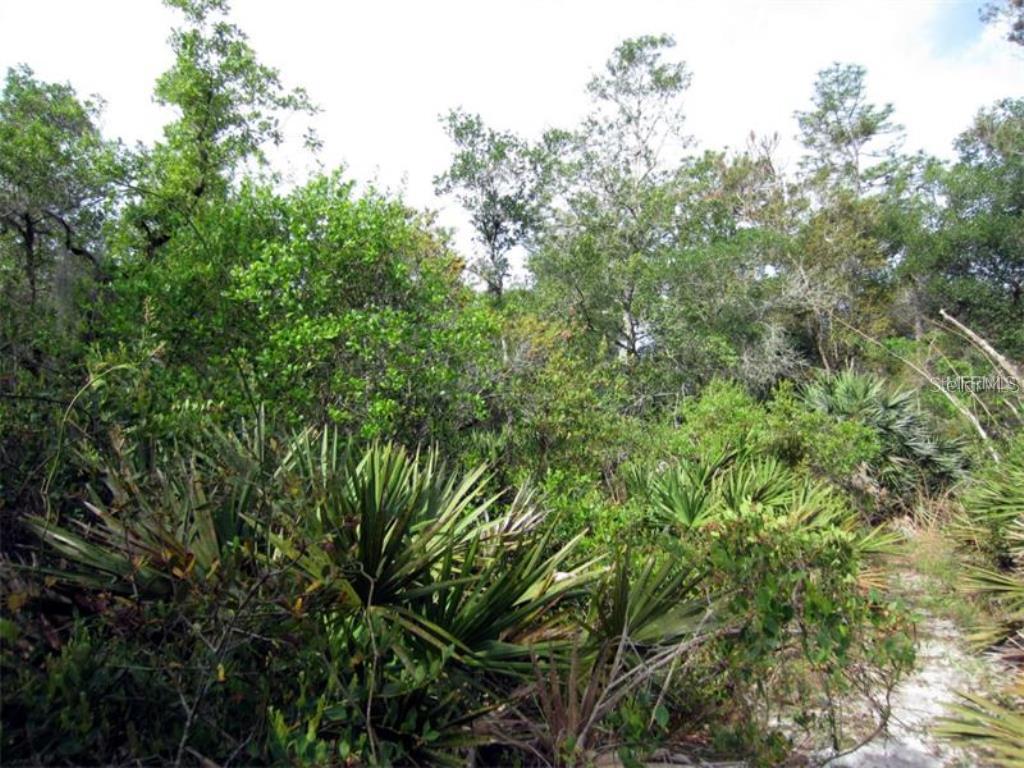 Willingham Road, Chuluota, FL 32766