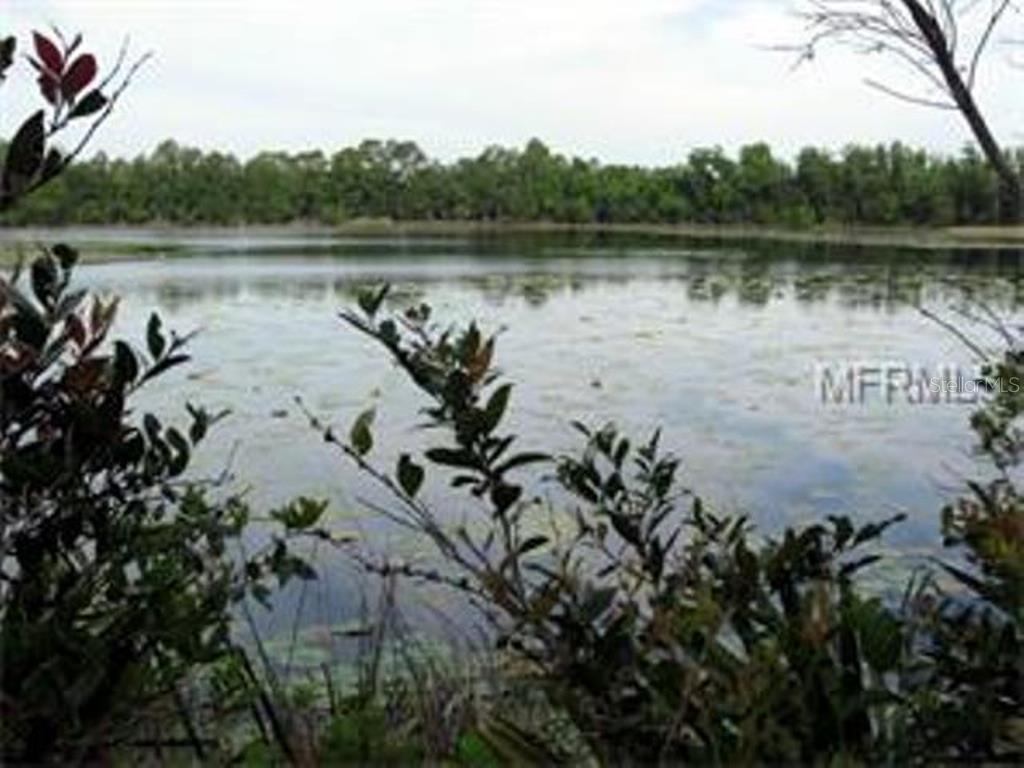 Willingham Rd., Chuluota, FL 32766