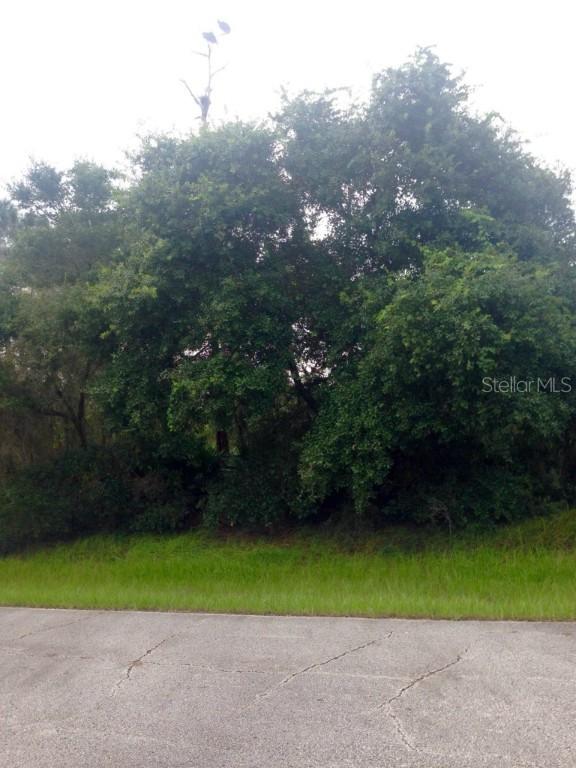 432 Vernon Ct., Poinciana, FL 34759